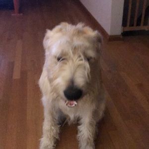 Meet your Posher, Brenda